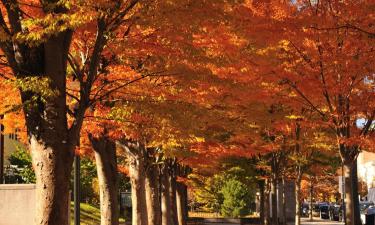 Hoteles en Princeton