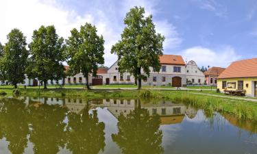 Holiday Rentals in Holašovice