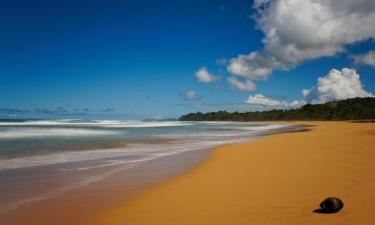 Vacaciones baratas en Manatí