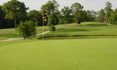 Cabañas en Pinehurst