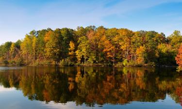 Hoteles baratos en Wake Forest