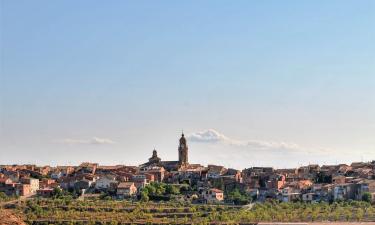 Pet-Friendly Hotels in Granadella