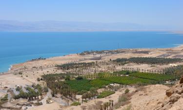 Hotels in Ein Gedi