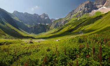 Hostales y pensiones en Sankt Gallenkirch