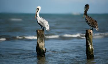 10 Best Tuxpan de Rodríguez Cano Hotels, Mexico (From $41) 10 Best Tuxpan de Rodríguez Cano Hotels, Mexico (From $41)