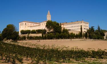 Alquileres vacacionales en Avellanes