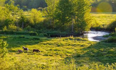 Готелі у місті Greenwood