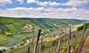 Vacation Rentals in Kövenig