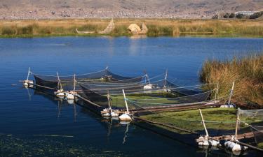 Hoteles en Potrerillos