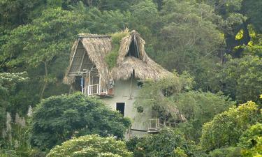 Guest Houses in Minca