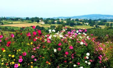 Holiday Rentals in Neuf-Église