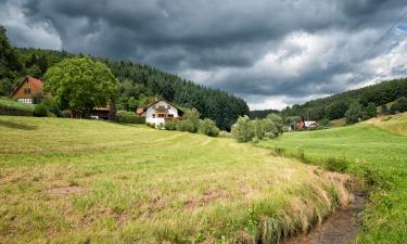 Hotels with Parking in Bad König