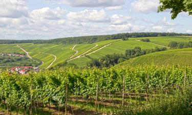 Ferienwohnungen in Sommerach