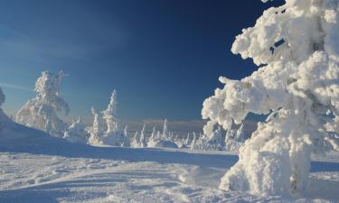 Ski Resorts in Gällivare