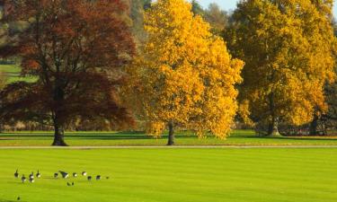 Hoteles en Saffron Walden