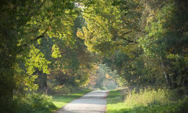 Ferienwohnungen in Bergisch Gladbach