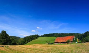 Ferienwohnungen in Großalmerode