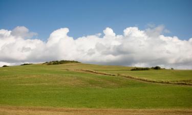 Hôtels pas chers à Hörschhausen