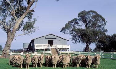 Motels in Hay