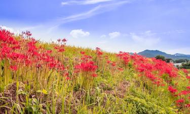 半田市のホテル