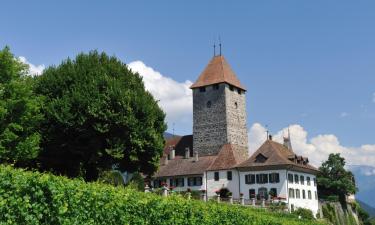 Hoteles con parking en Faulensee