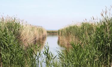 Weiden am See şehrindeki otoparklar