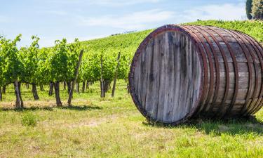 Farm Stays in Tavarnelle in Val di Pesa