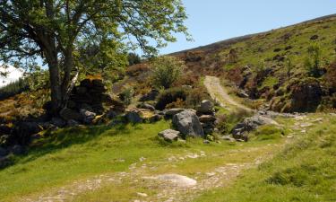 Hotéis em Enniskerry