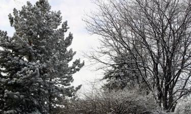 Cottages in Arvada