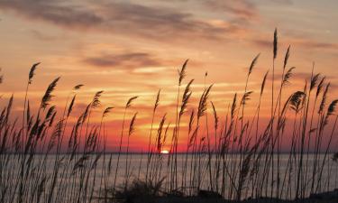 Hoteller med parkeringsplass i Chesapeake Beach