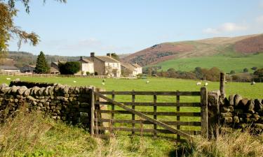 Cottages in Huby