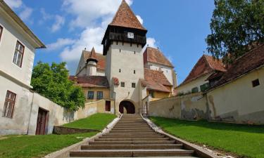 Guest Houses in Bazna