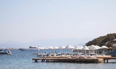 Family Hotels in Golturkbuku