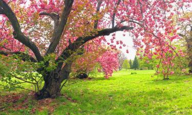 Viešbučiai mieste Mount Laurel