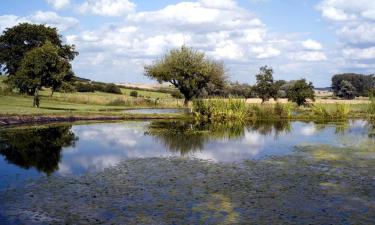 Hotels with Parking in Bérig-Vintrange