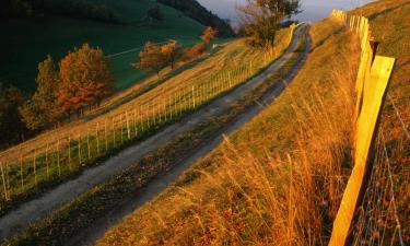 Hotels amb aparcament a Romagnieu