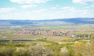 Bad Krozingen şehrindeki oteller