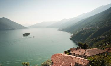 Pet-Friendly Hotels in Losone