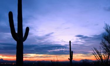 Cheap holidays in Oro Valley