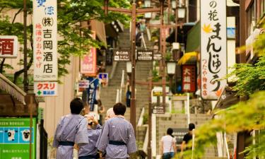 Ryokans en Shibukawa