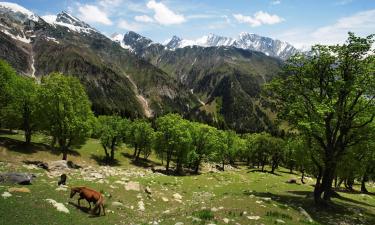 Hoteluri în Jammu