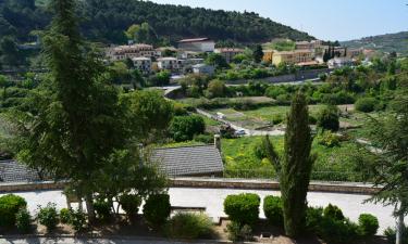 Hoteles en Pastrana