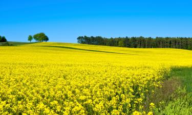 Huoneistot kohteessa Alken