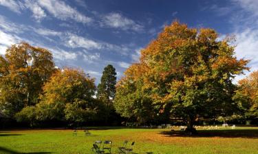 Alquileres vacacionales en Castleknock