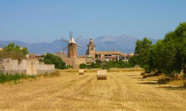 Vil·les a Algaida