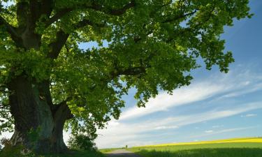 Günstiger Urlaub in Holzwickede