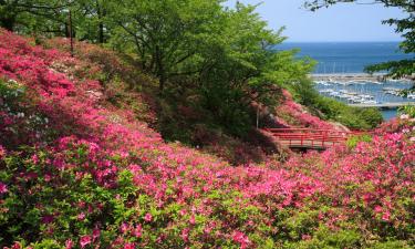 岬町の駐車場付きホテル