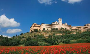 Povoljni hoteli u gradu 'Petrignano'