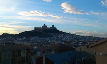 Hoteles que aceptan mascotas en Alcalá la Real