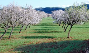 Medencével rendelkező hotelek Santa Agnès de Coronában